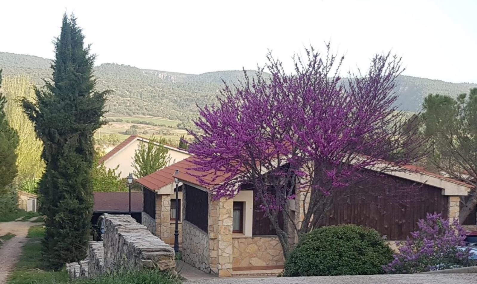 Aventura & Relax Cabanas Pena La Higuera Villalba de la Sierra Kültér fotó